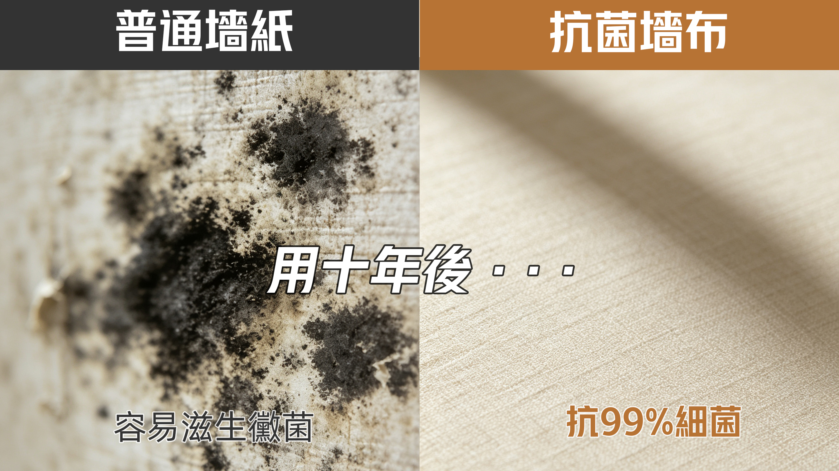 奧壁森 AOBISEN 一級防霉牆布 產品細節 Class 1 Mold Resistant Wallcovering Product Detail